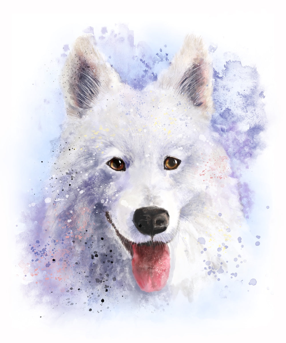 Painting of Samoyed dog with tongue out