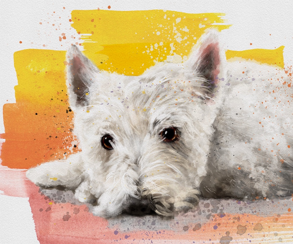 painting of West Highland terrier named Vince