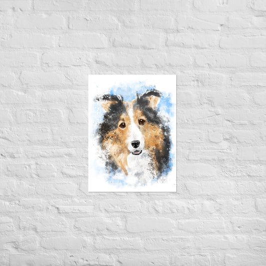 Sheltie Poster