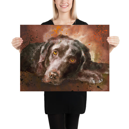 Chocolate Lab Poster